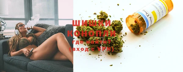 хмурый Дмитров