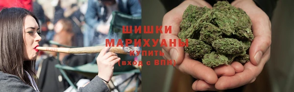 хмурый Дмитров