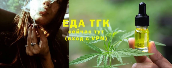 хмурый Дмитров