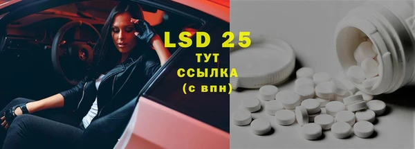 хмурый Дмитров