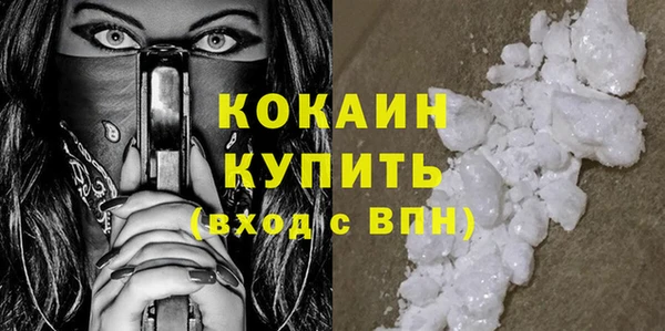 хмурый Дмитров