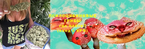 хмурый Дмитров