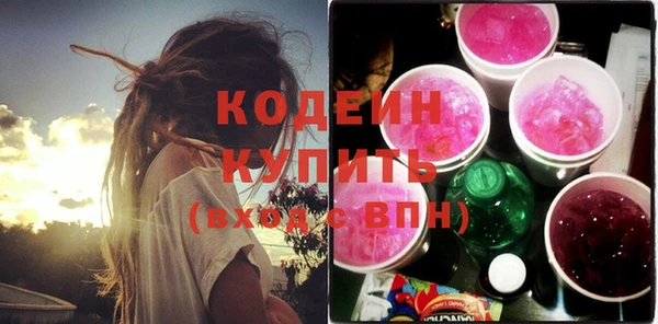 хмурый Дмитров
