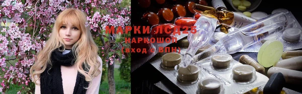 хмурый Дмитров